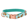 Pizza Dog Collar With Bow Tie - Lilly The Dog