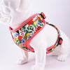 Floral Dog Harness. Stylish harness features a rich of yellow, green, pink, and blue lovely flowers. Lilly The Dog.