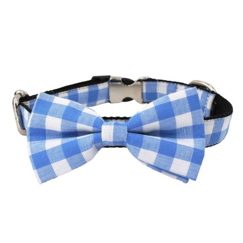 Azul Classic Dog Collar With Bow Tie - Lilly The Dog