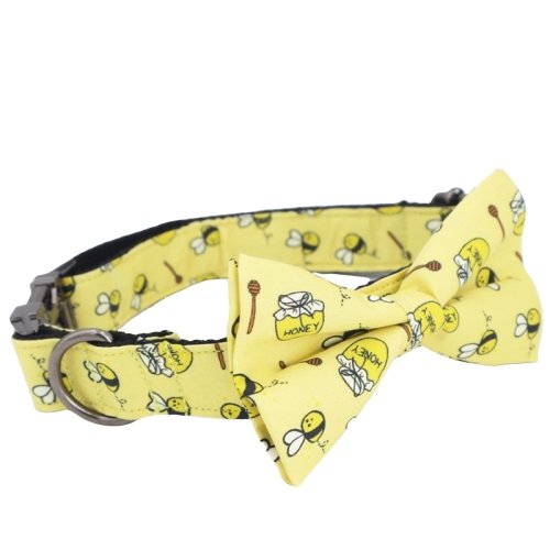 Bee Cool Dog Collar With Bow Tie - Lilly The Dog