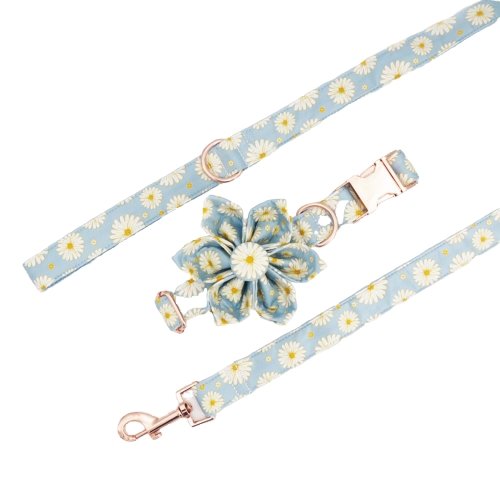 Blue Daisy Dog Collar With Flower - Lilly The Dog