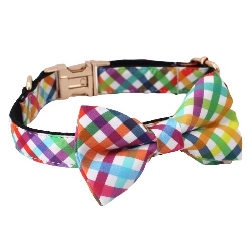 Carnival Party Dog Collar With Bow Tie - Lilly The Dog