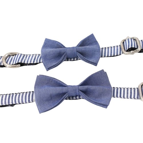 Classic Blue Strip Dog Collar With Bow Tie - Lilly The Dog