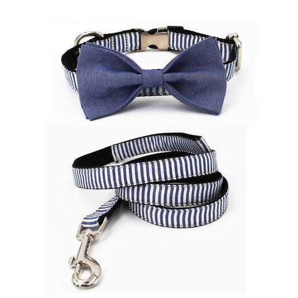 Classic Blue Strip Set - Lilly The Dog