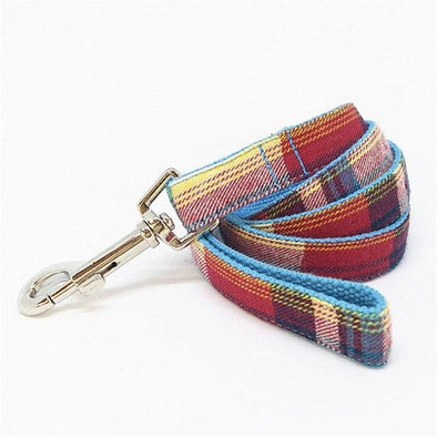 Classic Gentleman Dog Leash - Lilly The Dog
