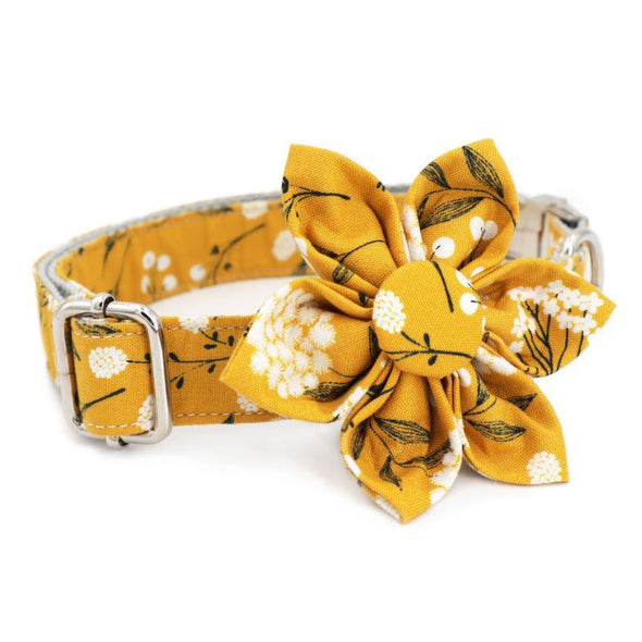 Daisy Dog Collar With Flower - Lilly The Dog