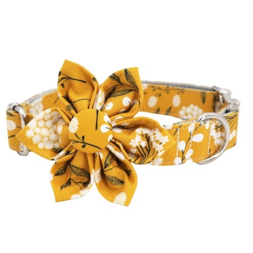 Fleur de Lis Gold Dog Collar by Yellow Dog Design, Inc - Order Today at