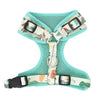 Dino Dog Harness - Lilly The Dog