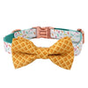 Icecream Dog Collar With Bow Tie - Lilly The Dog