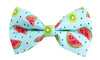 Kiwi & Watermelon Dog Collar With Bow Tie - Lilly The Dog