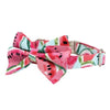 Watermelon Dog Collar With Bow Tie - Lilly The Dog