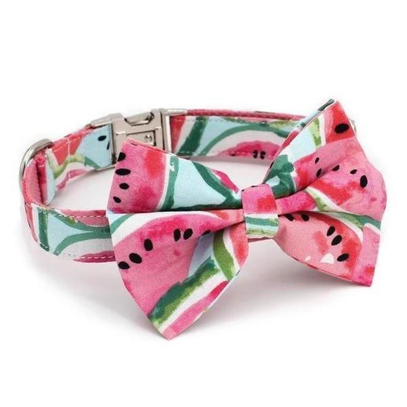 Watermelon Dog Collar With Bow Tie - Lilly The Dog