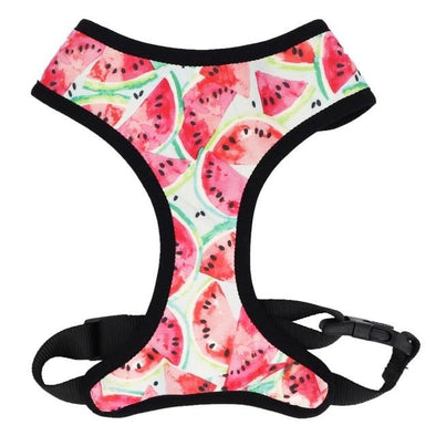 Watermelon Dog Harness - Lilly The Dog